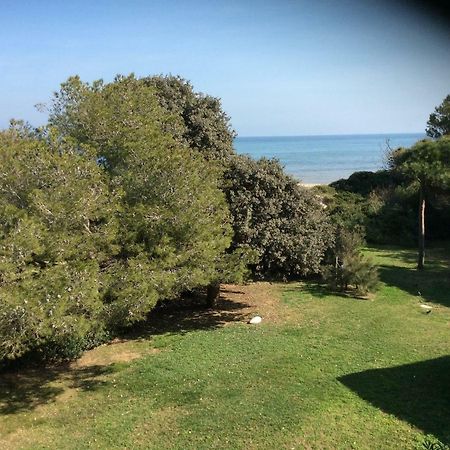 Entre Mer Et Piscine 耶尔 外观 照片