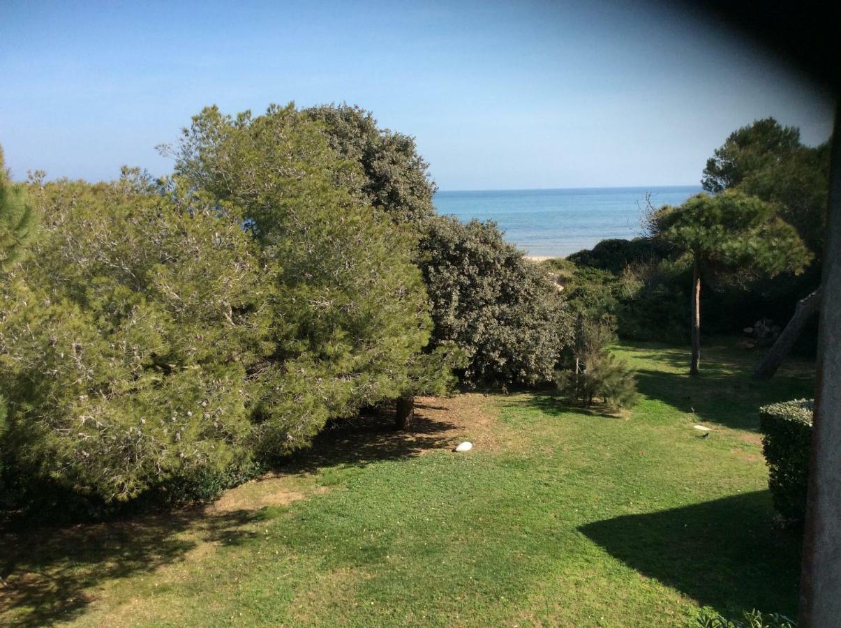 Entre Mer Et Piscine 耶尔 外观 照片